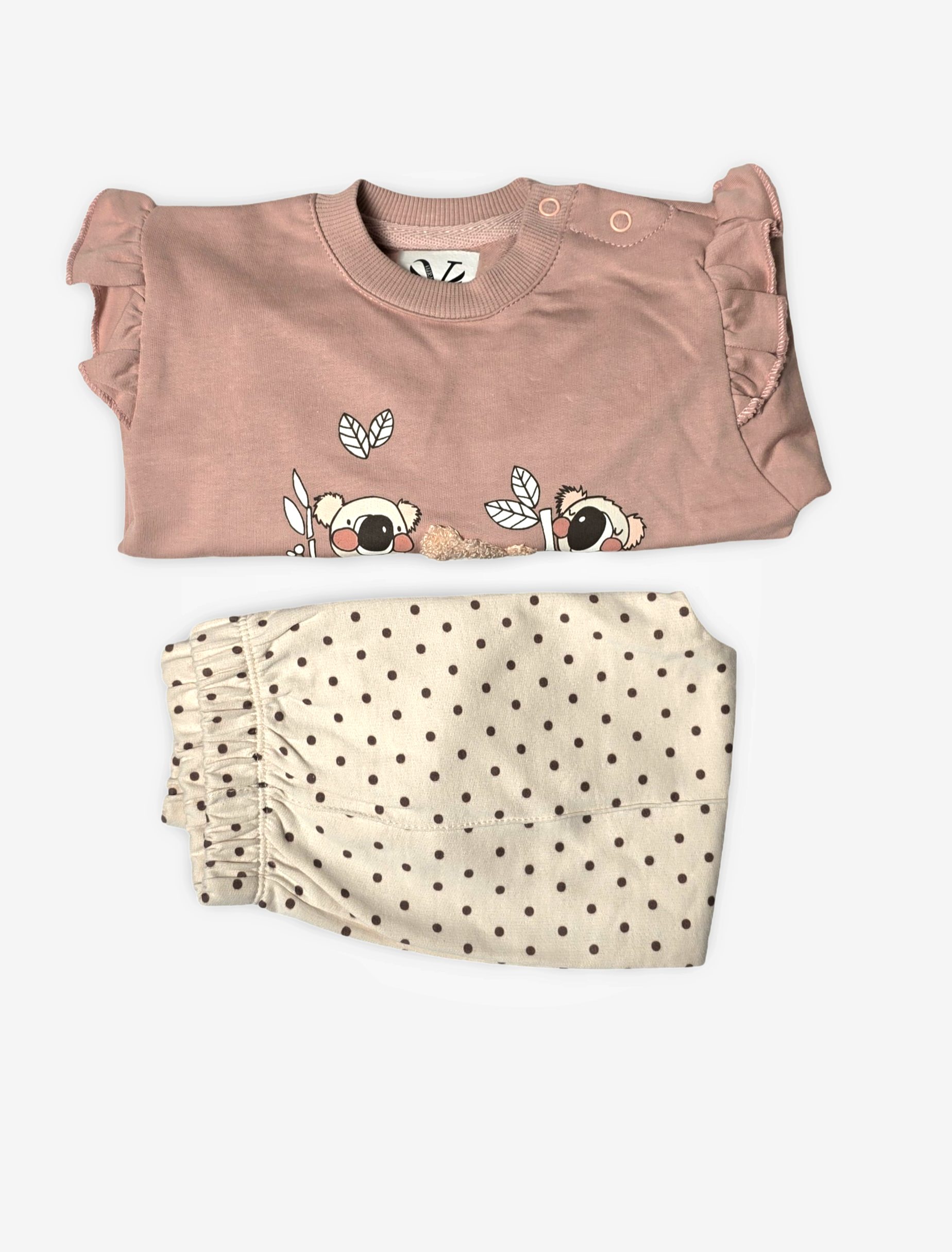 Koalabär Set